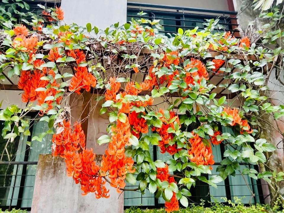 Wassana Sitdharma Guesthouse Trang Kültér fotó